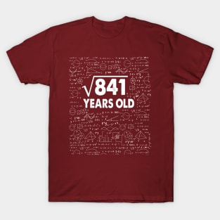 Square Root of 841 29th Birthday 29 Years Old Math Science Lover Gifts Nerdy Geeky Gift Idea T-Shirt